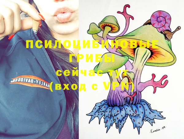 прущий лед Карпинск