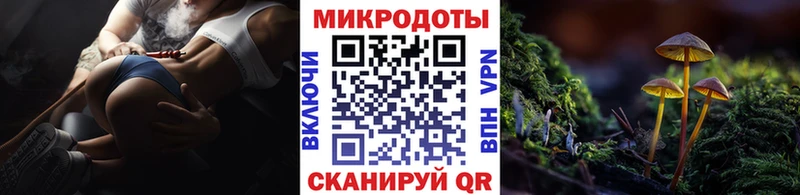 mega зеркало Кизляр Галлюциногенные грибы Psilocybine cubensis