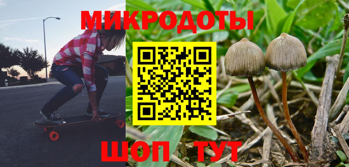 Псилоцибиновые грибы MAGIC MUSHROOMS Кизляр
