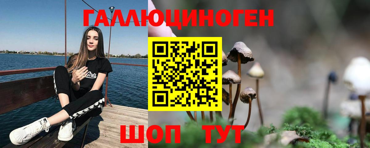 Кизляр  Псилоцибиновые грибы MAGIC MUSHROOMS  Псилоцибиновые грибы мицелий  Вход с VPN 